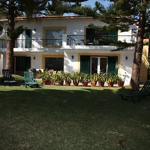 Echium Villa