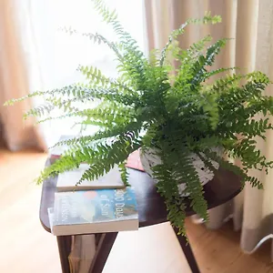 Santa Maria By Heart Of Appartement